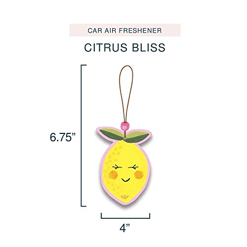 Studio Oh! Car Air Fresheners - Pack of 2 Scented Hanging Car Odor Eliminator - Unique Design with Decorative Bead - Citrus Bliss