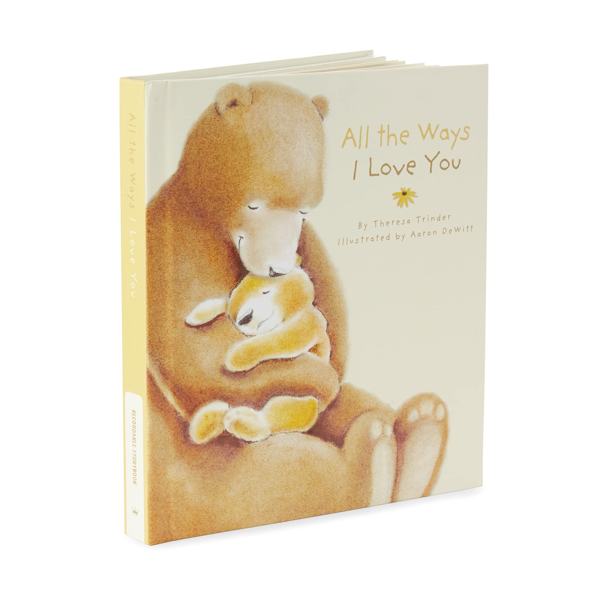 Hallmark Recordable Book for Children (All The Ways I Love You)